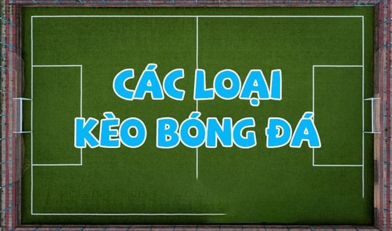 loại kèo trong cá cược bóng đá nhà cái