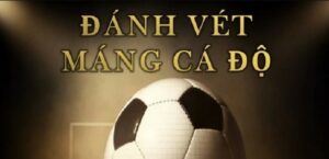 Cách đánh vét máng trong cá độ bóng đá tăng lợi nhuận